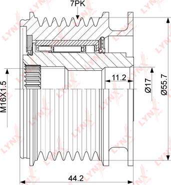 LYNXauto PA-1038 - Ремъчна шайба, генератор vvparts.bg