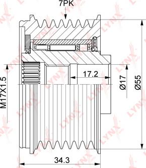 LYNXauto PA-1173 - Ремъчна шайба, генератор vvparts.bg