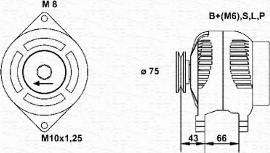 Magneti Marelli 943355172010 - Генератор vvparts.bg