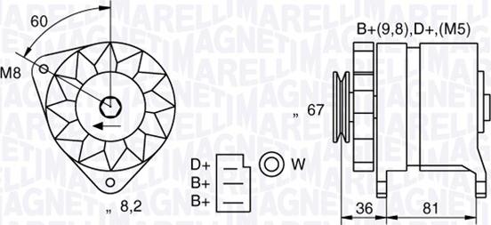 Magneti Marelli 054022384010 - Генератор vvparts.bg