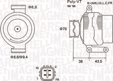 Magneti Marelli 063731980010 - Генератор vvparts.bg