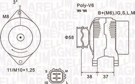 Magneti Marelli 063731889010 - Генератор vvparts.bg