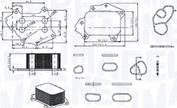 Magneti Marelli 350300002700 - Маслен радиатор, двигателно масло vvparts.bg