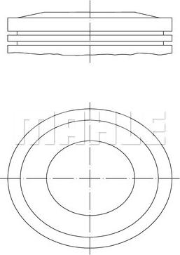 MAHLE 012 10 00 - Бутало vvparts.bg