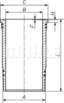 MAHLE 227 WN 37 00 - Цилиндрова риза vvparts.bg