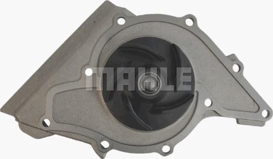 MAHLE CP 92 000P - Водна помпа vvparts.bg