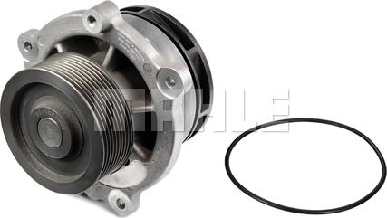 MAHLE CP 447 000P - Водна помпа vvparts.bg