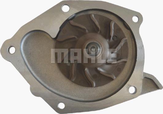 MAHLE CP 53 000P - Водна помпа vvparts.bg