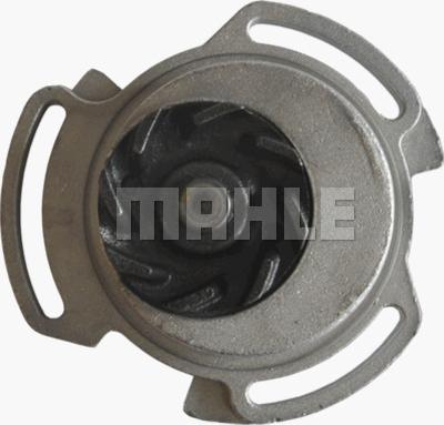 MAHLE CP 66 000P - Водна помпа vvparts.bg