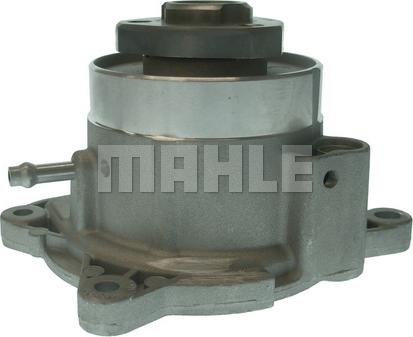 MAHLE CP 625 000P - Водна помпа vvparts.bg