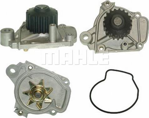 MAHLE CP 161 000P - Водна помпа vvparts.bg