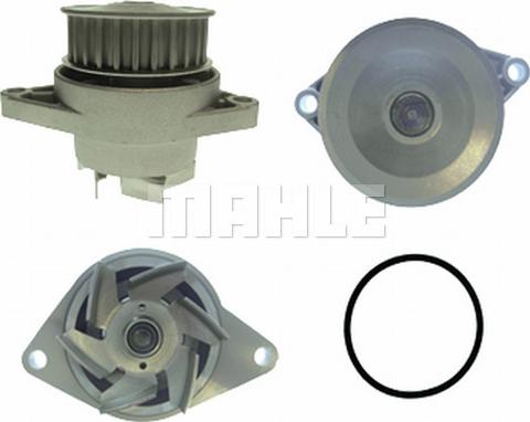 MAHLE CP 10 000P - Водна помпа vvparts.bg