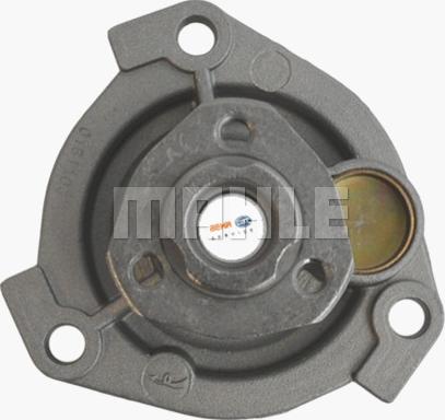 MAHLE CP 138 000P - Водна помпа vvparts.bg