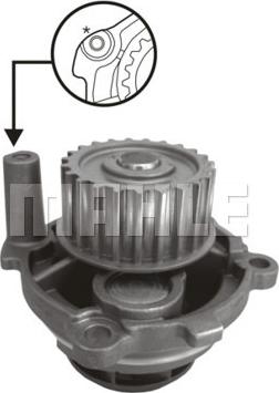 MAHLE CP 8 000S - Водна помпа vvparts.bg