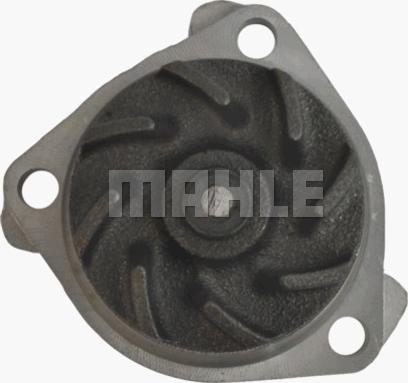 MAHLE CP 83 000P - Водна помпа vvparts.bg