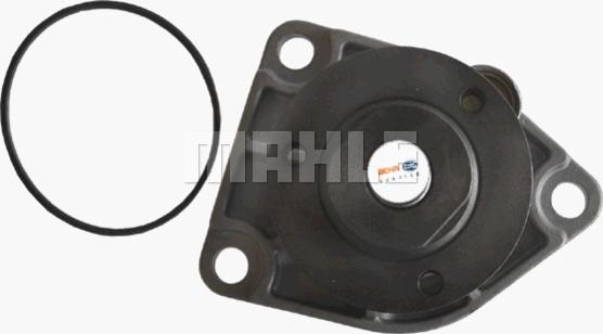 MAHLE CP 71 000P - Водна помпа vvparts.bg