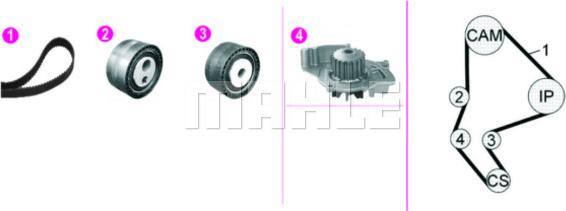 MAHLE CPK 135 000P - Водна помпа+ к-кт ангренажен ремък vvparts.bg