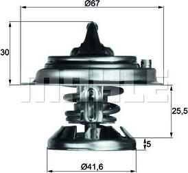 MAHLE TX 29 85 D - Термостат, охладителна течност vvparts.bg