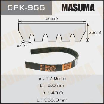 MASUMA 5PK955 - Пистов ремък vvparts.bg