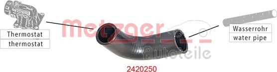 Metzger 2420250 - Маркуч на радиатора vvparts.bg