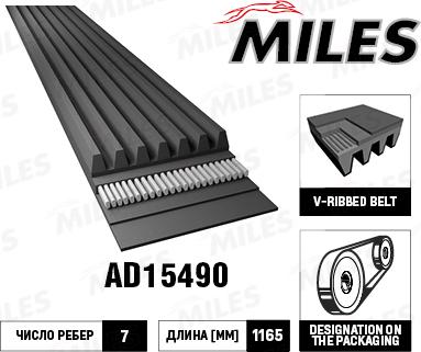 Miles AD15490 - Пистов ремък vvparts.bg