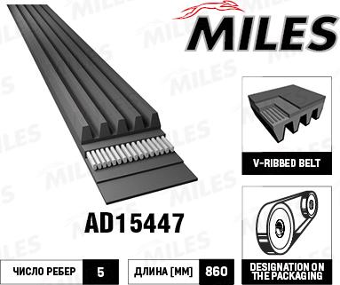 Miles AD15447 - Пистов ремък vvparts.bg