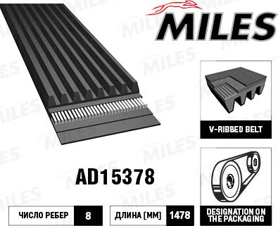 Miles AD15378 - Пистов ремък vvparts.bg