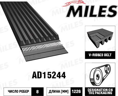 Miles AD15244 - Пистов ремък vvparts.bg