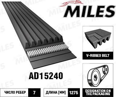 Miles AD15240 - Пистов ремък vvparts.bg