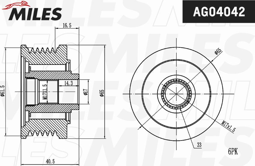 Miles AG04042 - Ремъчна шайба, генератор vvparts.bg