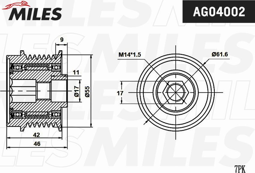 Miles AG04002 - Ремъчна шайба, генератор vvparts.bg