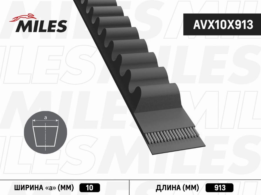 Miles AVX10X913 - Трапецовиден ремък vvparts.bg