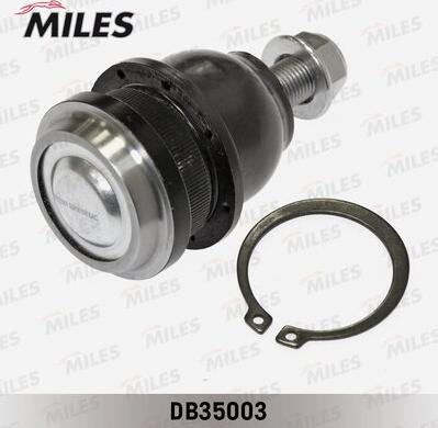 Miles DB35003 - Шарнири vvparts.bg