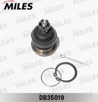 Miles DB35019 - Шарнири vvparts.bg