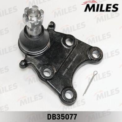 Miles DB35077 - Шарнири vvparts.bg