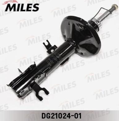 Miles DG21024-01 - Амортисьор vvparts.bg