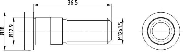 Mintex TPM0019 - Винт, спирачен диск vvparts.bg