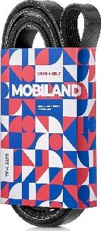 MOBILAND 501272255 - Пистов ремък vvparts.bg