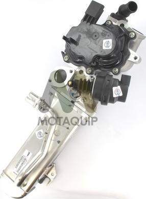 Motaquip LVER128 - AGR-Клапан vvparts.bg