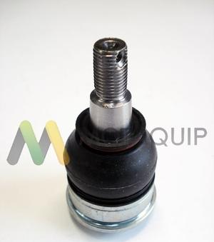 Motaquip LVSJ1075 - Шарнири vvparts.bg