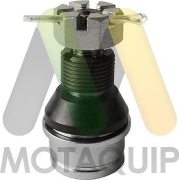 Motaquip LVSJ1173 - Шарнири vvparts.bg