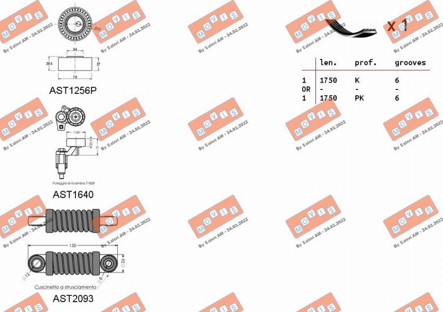 MOVIS ASTA0094 - Комплект пистов ремък vvparts.bg