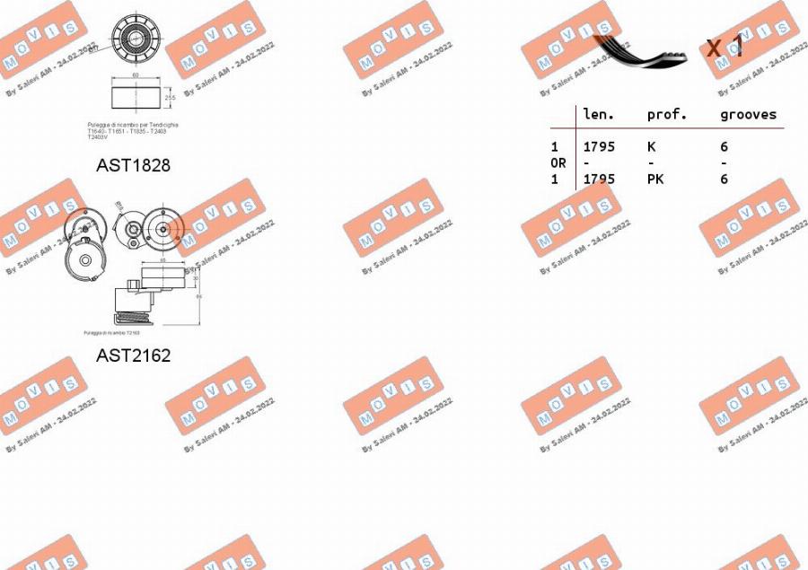 MOVIS ASTA0052 - Комплект пистов ремък vvparts.bg