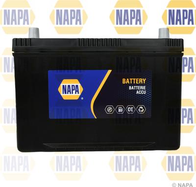 NAPA 249N - Стартов акумулатор vvparts.bg