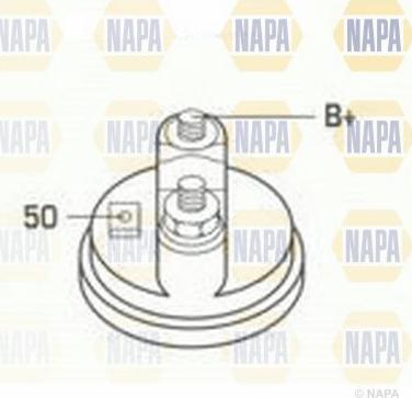 NAPA NSM1244 - Стартер vvparts.bg
