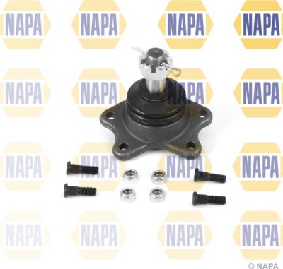 NAPA NST0255 - Шарнири vvparts.bg