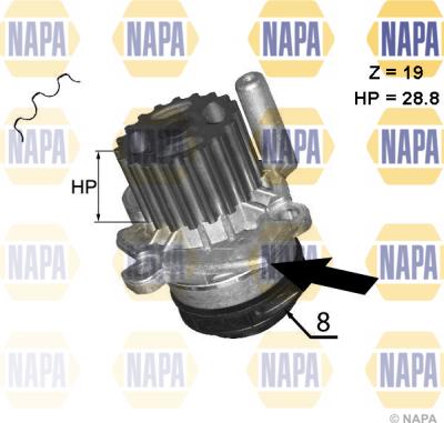 NAPA NWP1045 - Водна помпа vvparts.bg
