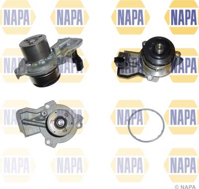 NAPA NWP1067 - Водна помпа vvparts.bg