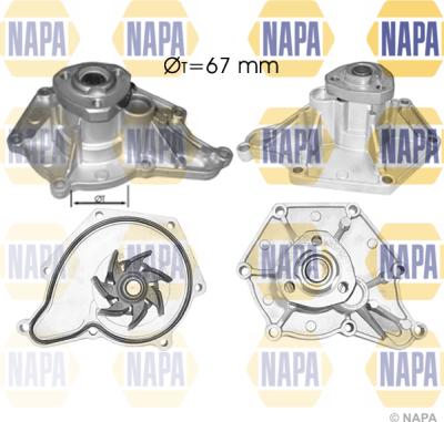 NAPA NWP1039 - Водна помпа vvparts.bg