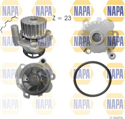 NAPA NWP1038 - Водна помпа vvparts.bg